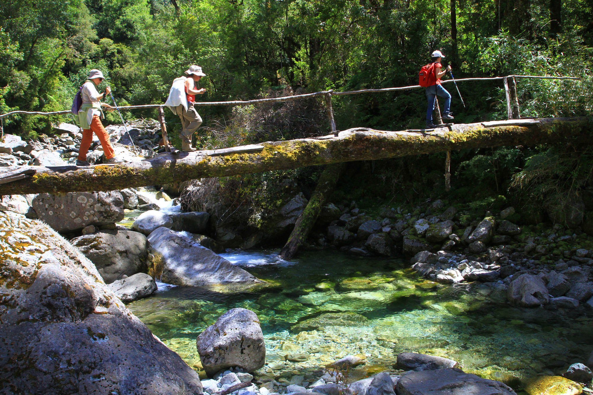 1.There are many attractive bridges on the hiking trails, often utilizing fallen trees. 