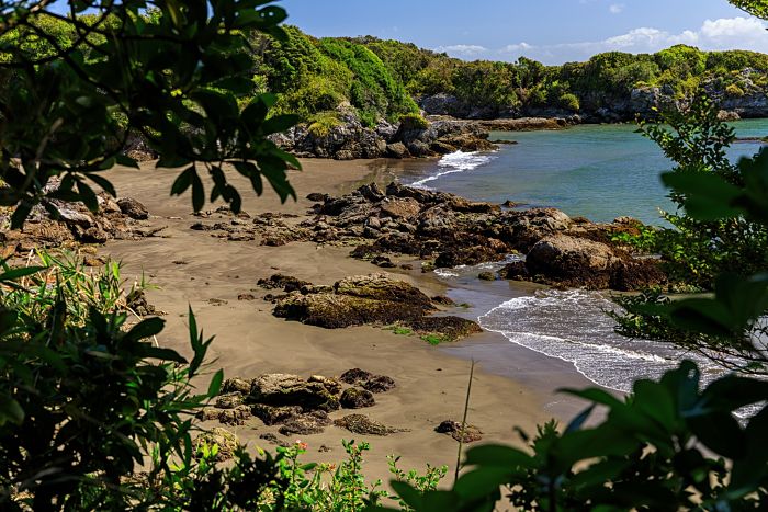 Guafo Island, a pristine paradise. Photo: WWF Chile
