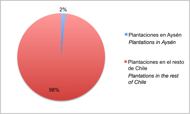 Las plantaciones de pino ubicadas en Aysén representan una muy menor superficie comparada con la que ocupan (junto a las de eucaliptos) en la zona centro-sur de Chile. Las 43 mil hectáreas de este tipo en Aysén son significativas, pero pequeñas al contrastarlas con las 2,5 millones de plantaciones en el país.