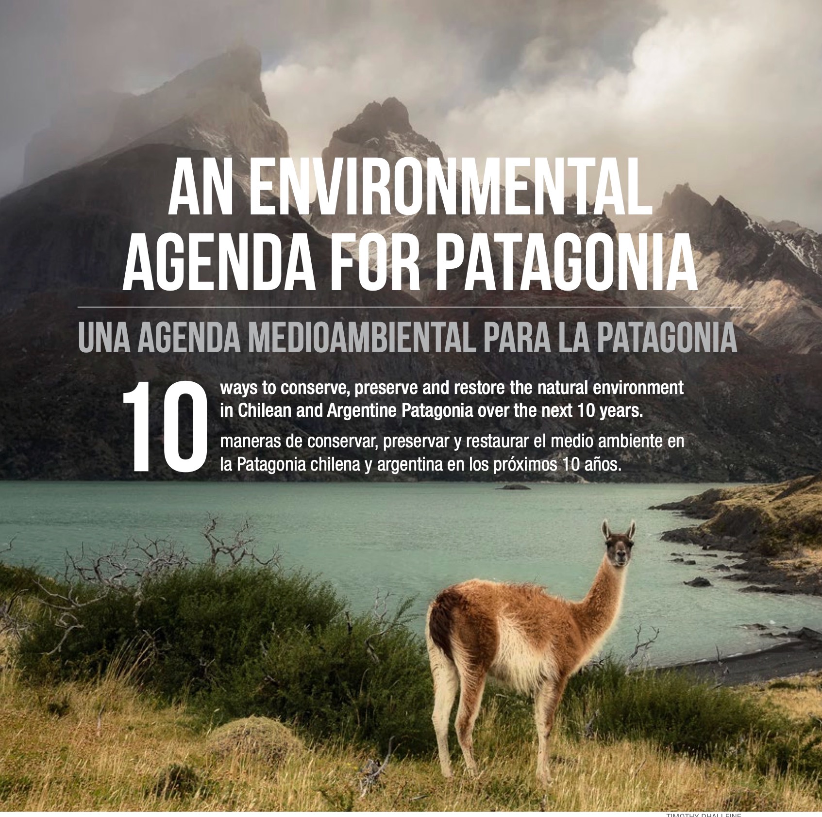 Lee "Una agenda medioambiental para la Patagonia" en la edición actual de Patagon Journal.