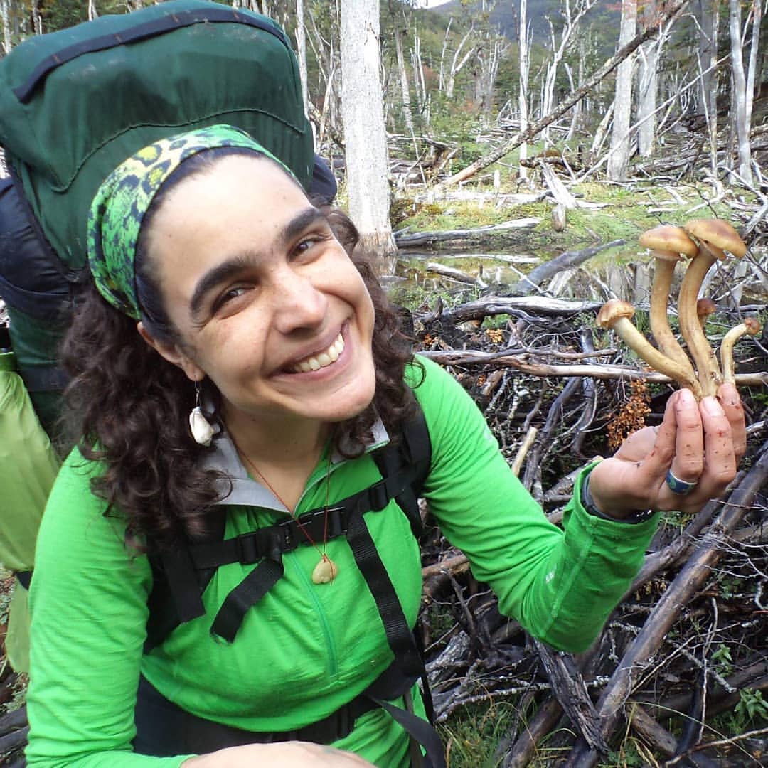Giuliana looking for fungi in Tierra del Fuego. Photo: Fungi Foundation