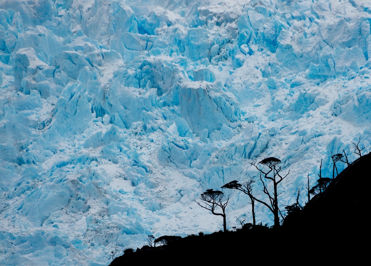 Glaciar en Seno Ballena, Parque Marino Francisco Coloane, Región de Magallanes.